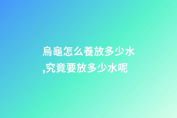 烏龜怎么養放多少水,究竟要放多少水呢-第1張-觀點-玄機派
