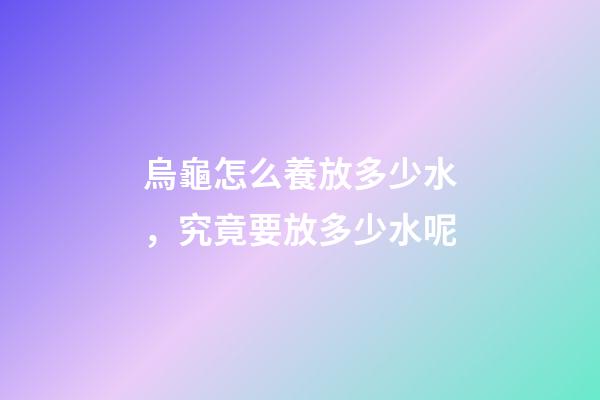 烏龜怎么養放多少水，究竟要放多少水呢-第1張-觀點-玄機派