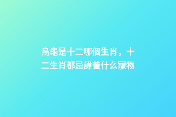 烏龜是十二哪個生肖，十二生肖都忌諱養什么寵物-第1張-觀點-玄機派
