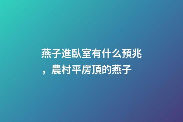 燕子進臥室有什么預兆，農村平房頂的燕子-第1張-觀點-玄機派