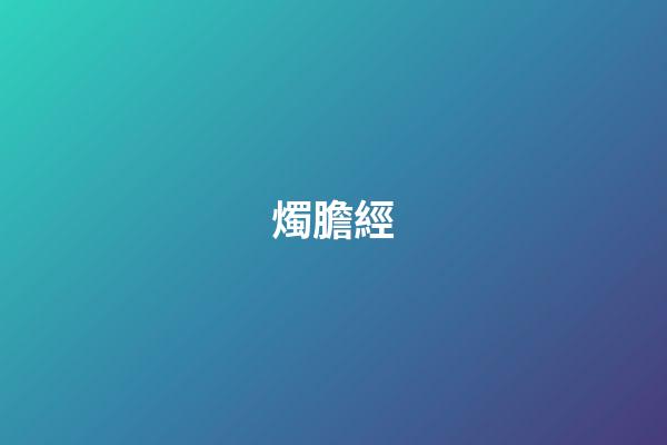 燭膽經