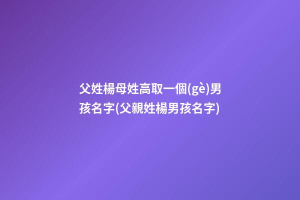 父姓楊母姓高取一個(gè)男孩名字(父親姓楊男孩名字)