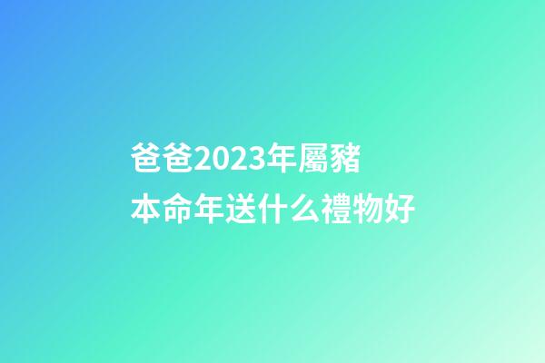 爸爸2023年屬豬本命年送什么禮物好