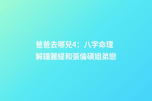 爸爸去哪兒4：八字命理解鐘麗緹和張倫碩姐弟戀