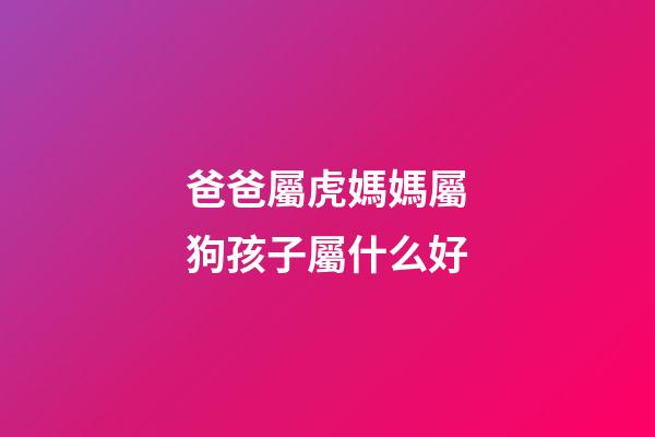 爸爸屬虎媽媽屬狗孩子屬什么好