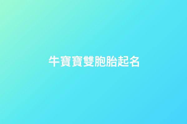 牛寶寶雙胞胎起名(牛寶寶雙胞胎取名大全2023款)-第1張-寶寶起名-玄機派