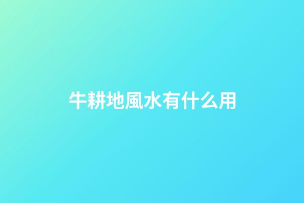 牛耕地風水有什么用