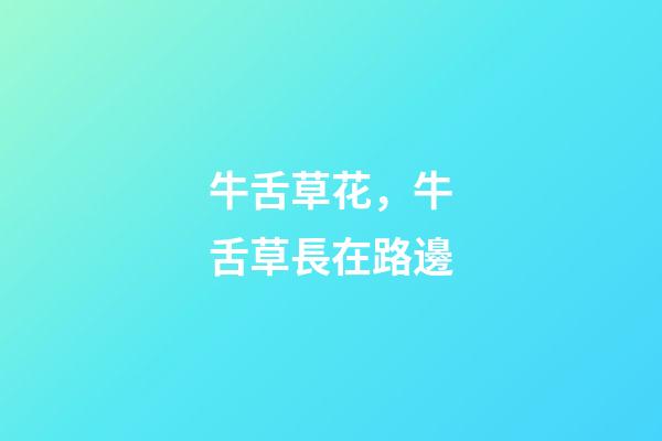 牛舌草花，牛舌草長在路邊-第1張-觀點-玄機派