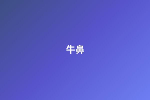 牛鼻