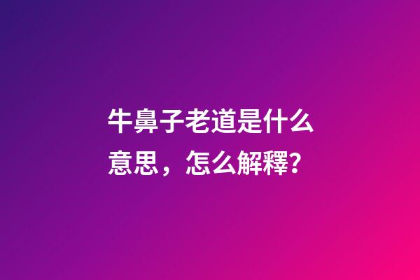 牛鼻子老道是什么意思，怎么解釋？