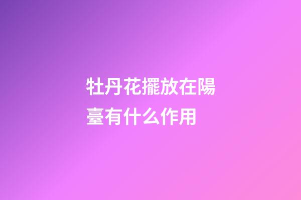 牡丹花擺放在陽臺有什么作用