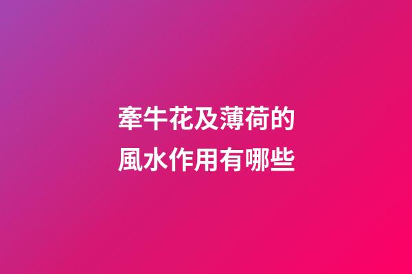 牽?；氨『傻娘L水作用有哪些?