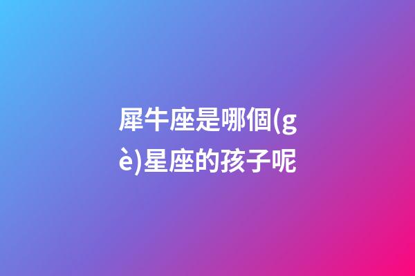 犀牛座是哪個(gè)星座的孩子呢-第1張-星座運(yùn)勢-玄機(jī)派