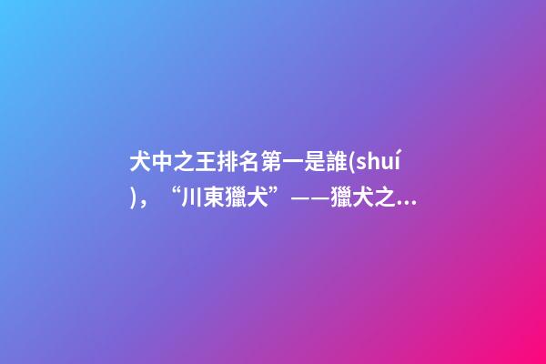 犬中之王排名第一是誰(shuí)，“川東獵犬”——獵犬之王-第1張-觀點(diǎn)-玄機(jī)派
