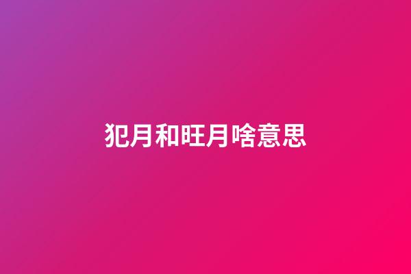 犯月和旺月啥意思