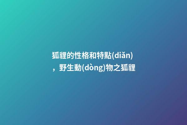 狐貍的性格和特點(diǎn)，野生動(dòng)物之狐貍-第1張-觀點(diǎn)-玄機(jī)派