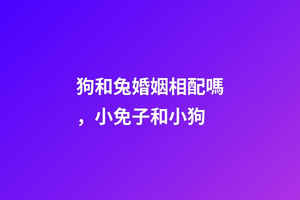 狗和兔婚姻相配嗎，小免子和小狗-第1張-觀點-玄機派