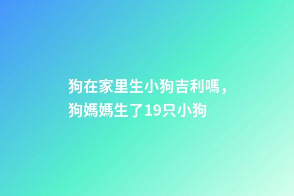 狗在家里生小狗吉利嗎，狗媽媽生了19只小狗-第1張-觀點(diǎn)-玄機(jī)派