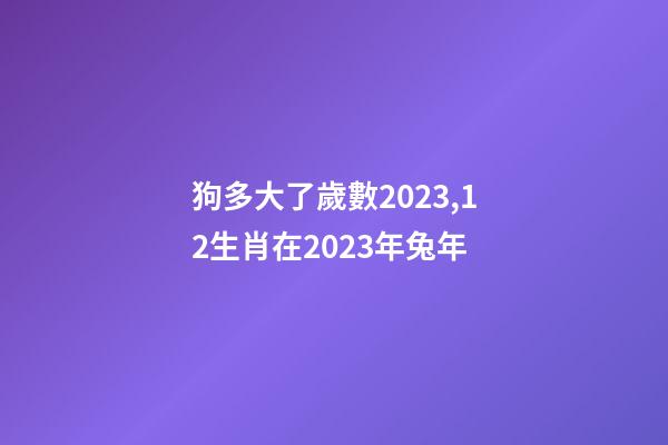 狗多大了歲數2023,12生肖在2023年兔年-第1張-觀點-玄機派