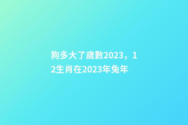 狗多大了歲數2023，12生肖在2023年兔年-第1張-觀點-玄機派