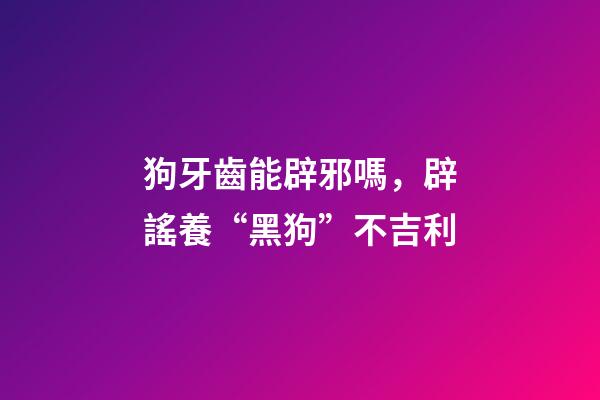 狗牙齒能辟邪嗎，辟謠養“黑狗”不吉利-第1張-觀點-玄機派