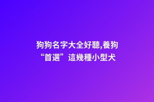 狗狗名字大全好聽,養狗“首選”這幾種小型犬-第1張-觀點-玄機派