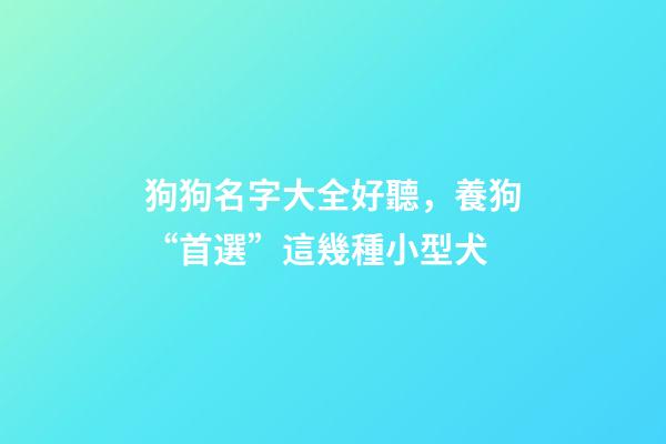 狗狗名字大全好聽，養狗“首選”這幾種小型犬-第1張-觀點-玄機派