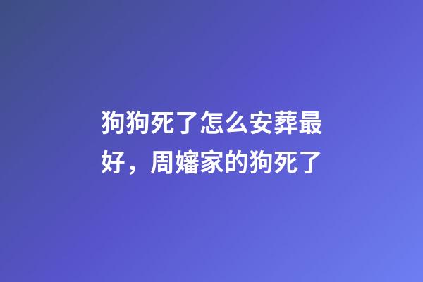 狗狗死了怎么安葬最好，周嬸家的狗死了-第1張-觀點(diǎn)-玄機(jī)派