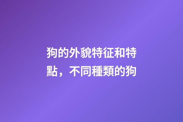 狗的外貌特征和特點，不同種類的狗-第1張-觀點-玄機派
