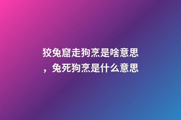 狡兔窟走狗烹是啥意思，兔死狗烹是什么意思-第1張-觀點-玄機派