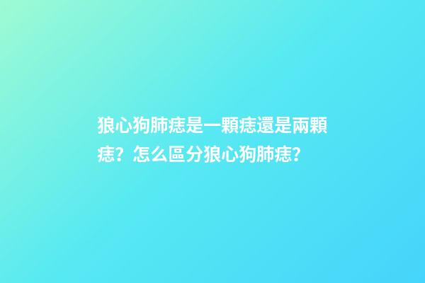 狼心狗肺痣是一顆痣還是兩顆痣？怎么區分狼心狗肺痣？