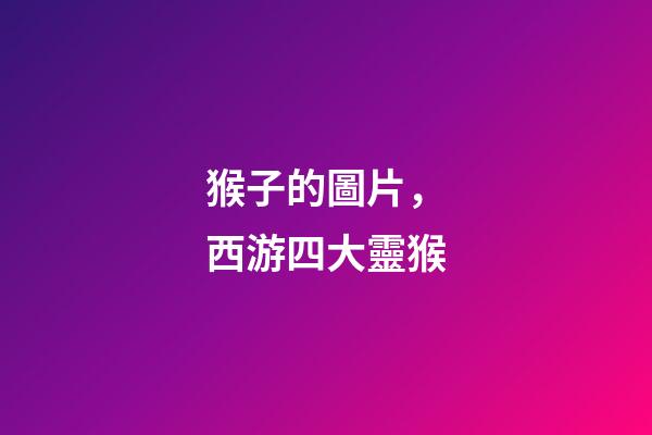 猴子的圖片，西游四大靈猴-第1張-觀點-玄機派