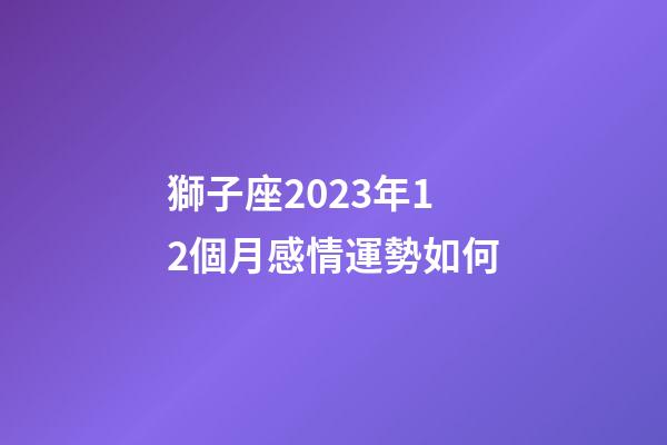 獅子座2023年12個月感情運勢如何-第1張-星座運勢-玄機派