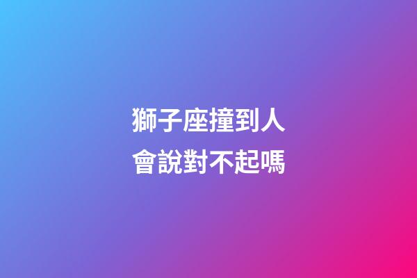 獅子座撞到人會說對不起嗎-第1張-星座運勢-玄機派