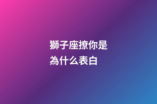 獅子座撩你是為什么表白-第1張-星座運勢-玄機派