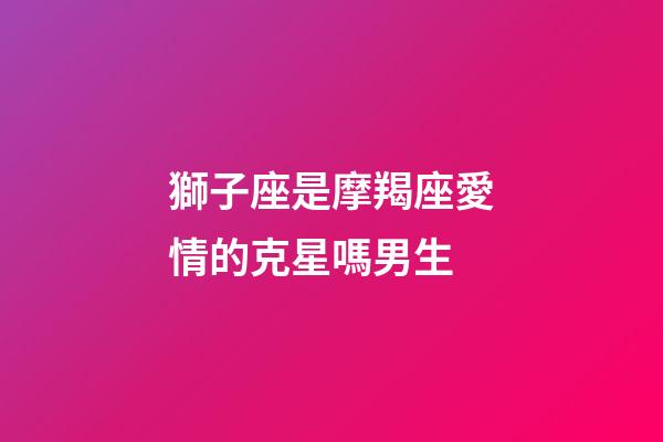 獅子座是摩羯座愛情的克星嗎男生-第1張-星座運勢-玄機派