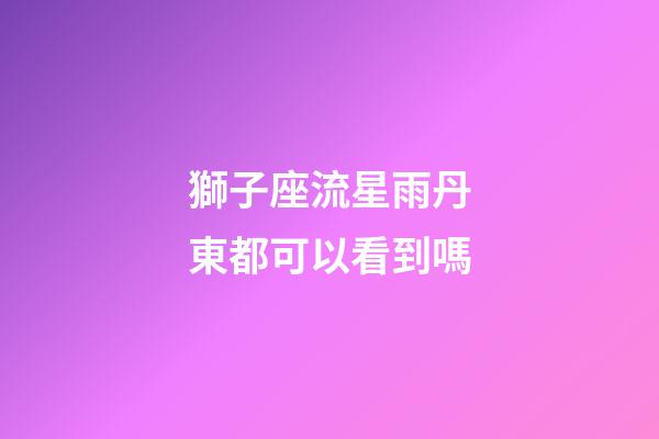 獅子座流星雨丹東都可以看到嗎-第1張-星座運勢-玄機派