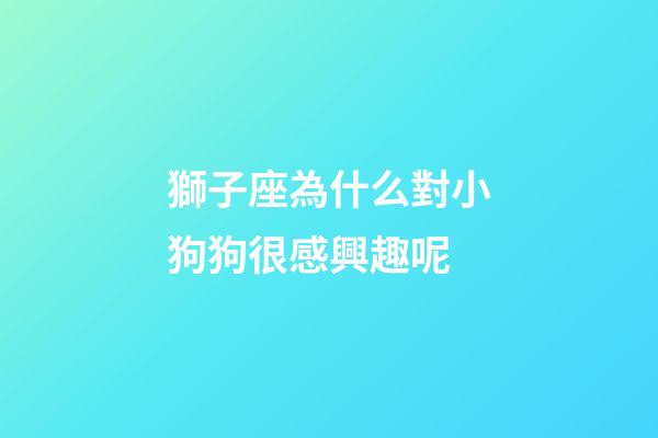 獅子座為什么對小狗狗很感興趣呢-第1張-星座運勢-玄機派