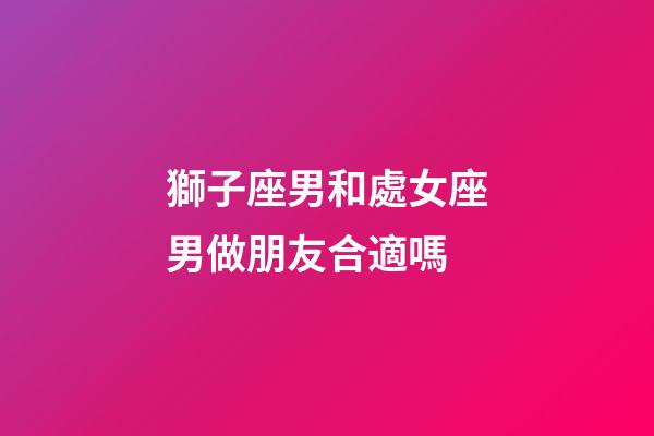 獅子座男和處女座男做朋友合適嗎-第1張-星座運勢-玄機派