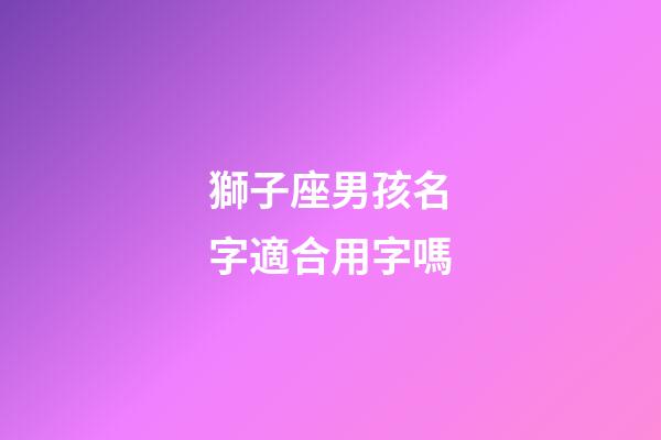 獅子座男孩名字適合用字嗎