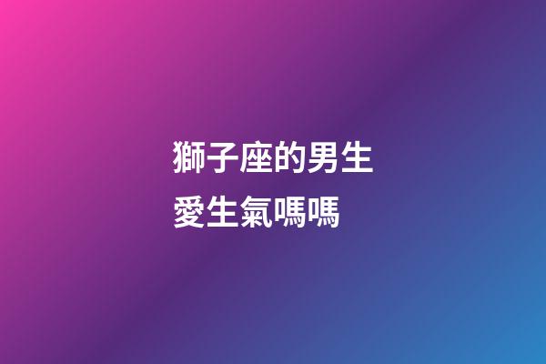 獅子座的男生愛生氣嗎嗎-第1張-星座運勢-玄機派