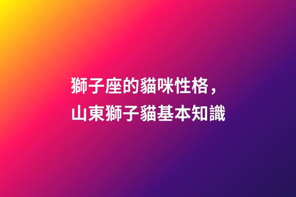 獅子座的貓咪性格，山東獅子貓基本知識-第1張-觀點-玄機派