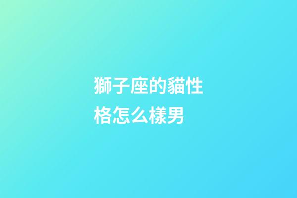 獅子座的貓性格怎么樣男-第1張-星座運勢-玄機派