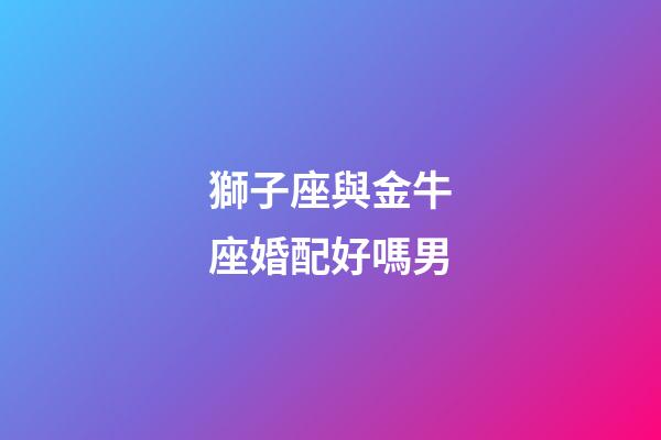獅子座與金牛座婚配好嗎男-第1張-星座運勢-玄機派