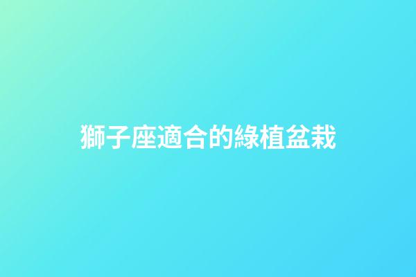 獅子座適合的綠植盆栽-第1張-星座運勢-玄機派