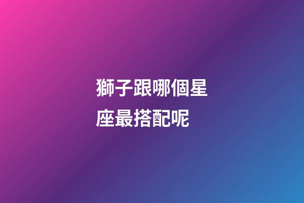獅子跟哪個星座最搭配呢-第1張-星座運勢-玄機派