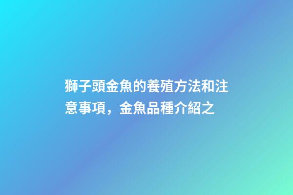 獅子頭金魚的養殖方法和注意事項，金魚品種介紹之(獅子頭)-第1張-觀點-玄機派
