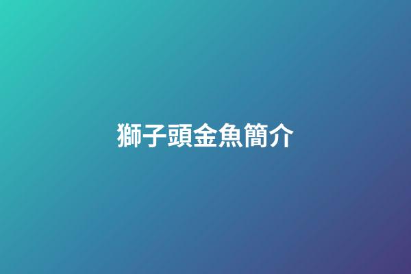 獅子頭金魚簡介