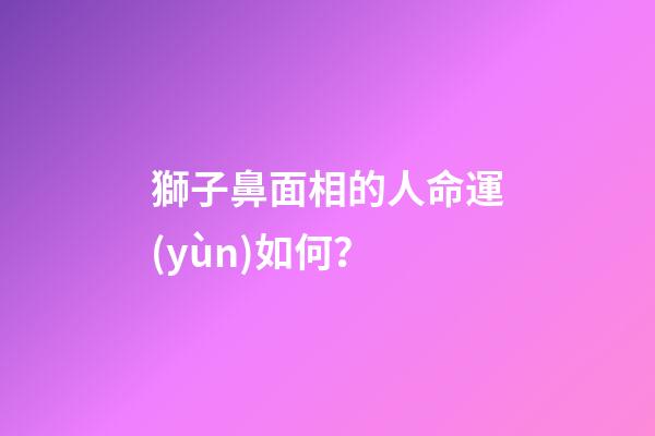 獅子鼻面相的人命運(yùn)如何？