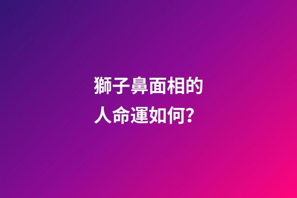 獅子鼻面相的人命運如何？